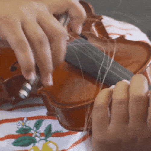 violin.gif